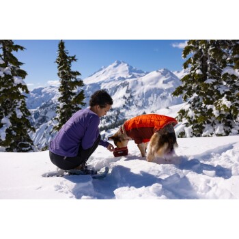 Eine Person in einem lila Langarmshirt kniet im Schnee und füttert einen Hund, der eine orangefarbene Jacke trägt, mit schneebedeckten Bergen im Hintergrund.
