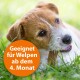 Ein verspielter Welpe kaut auf einem Stock im grünen Gras, mit einem orangefarbenen Kreis, der sagt: "Geeignet für Welpen ab 4 Monaten."