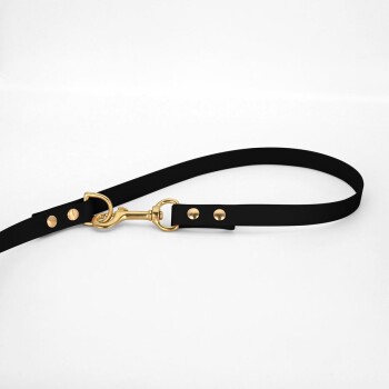 Schwarze Hundeleine mit goldenen Beschlägen und Nieten, flach auf einem weißen Hintergrund ausgelegt.
