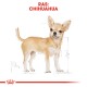 Illustratie van een Chihuahua-hond met een lichtbruine vacht, rechtopstaand. Tekst leest 'RAS: CHIHUAHUA' bovenaan.