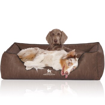 Ein entspannter Hund liegt auf einem braunen Haustierbett mit einem Logo, das "KNUFFELWUFFF" liest. Das Bett hat ein weiches, plüschiges Design.