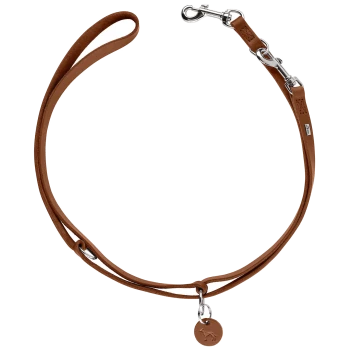 Braune Leder-Schleppleine/Halsband im Schlupfstil mit silbernen Beschlägen und rundem Lederanhänger mit eingeprägter Hundesilhouette