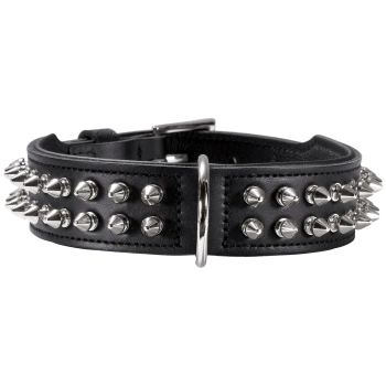 Schwarzes Leder-Hundehalsband, verziert mit silbernen Spitzen und Nieten, mit einer Metallschnalle und D-Ring zur Befestigung der Leine.