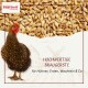 Braunes Huhn mit Nahaufnahme von Gerstenkörnern und deutschem Text über energiereiches Futter für Hühner und Tauben.
