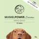 Nahaufnahme des Gesichts eines braunen Hundes vor einem grünen Hintergrund, der das Etikett "MUSKELPOWER Tabletten AMINO BOOST" mit 120 Tabletten zeigt.