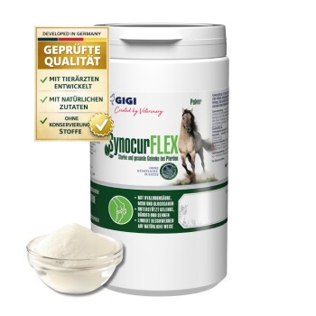 Weißer Behälter des SynocurFLEX Pferdegelenk-Ergänzungspulvers mit Pferdebild und GMP-zertifiziertem Siegel.