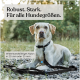 Gelber Labrador Retriever liegt auf Kies mit einer schwarzen Nylonleine, deutscher Text über Haltbarkeit und Größen für alle Hundetypen.