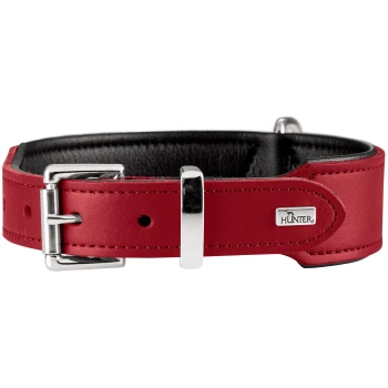 Rotes, gepolstertes Lederhalsband mit schwarzer Einlage, silberner Schnalle und Schlaufe sowie metallischem Markenanhänger mit der Aufschrift "HUNTER".