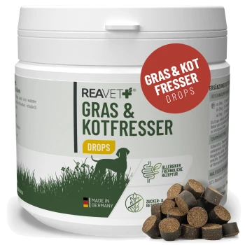 Behälter mit Reavet Gras & Kotfresser Tropfen für Hunde, hergestellt in Deutschland, allergikerfreundlich und zuckerfrei, mit einem Haufen brauner Tropfen.