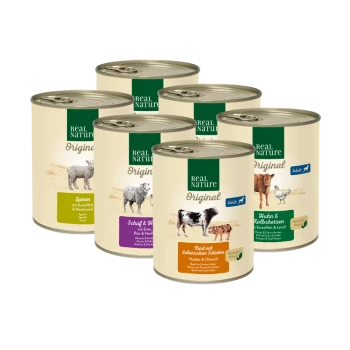 Sechs Dosen Real Nature Hundefutter, mit Geschmacksrichtungen wie Lamm, Schaf & Ente und Huhn & Herzen, mit bunten Etiketten.
