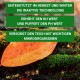 Bild eines lebhaften orangefarbenen Blattes, das auf moosigem Boden liegt, mit grünem Textüberlagerung, die Vorteile für die Teichbiologie im Herbst und Winter beschreibt.