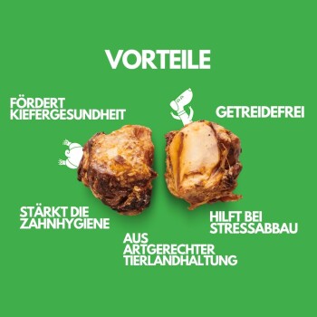 Zwei Hundekauartikel auf grünem Hintergrund mit Vorteilen: "Kiefergesundheit," "Zahnhygiene," "Getreidefrei," "Stressabbau," und "Tierhaltung."