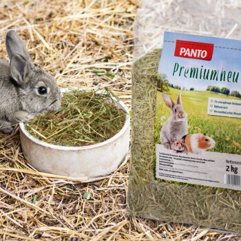 Ein grauer Hase frisst Heu aus einer weißen Schüssel, neben einem Sack PANTO Premiumhay mit Kaninchen und einem Meerschweinchen auf dem Etikett.