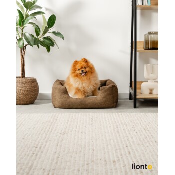Ein flauschiger orangefarbener Pomeranian-Hund sitzt glücklich in einem braunen Haustierbett, umgeben von einer Topfpflanze und modernem Dekor auf einem Regal.