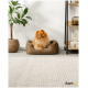 Ein flauschiger orangefarbener Pomeranian-Hund sitzt glücklich in einem braunen Haustierbett, umgeben von einer Topfpflanze und modernem Dekor auf einem Regal.