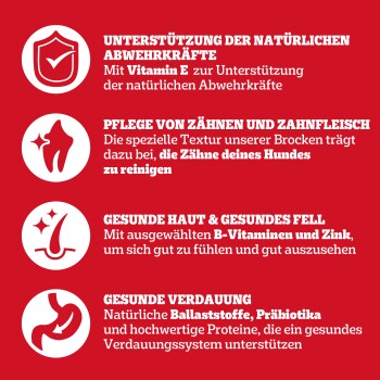 Roter Hintergrund mit weißen Symbolen und Text, der die Vorteile von Hundefutter hervorhebt: Immununterstützung, Zahnpflege, gesunde Haut und Verdauungsgesundheit.