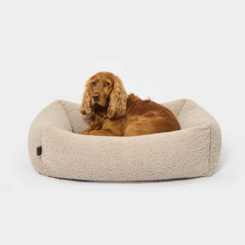 Ein weiches, beiges Haustierbett mit erhöhten Rändern, das für Komfort und Unterstützung ausgelegt ist, vor einem schlichten weißen Hintergrund präsentiert.