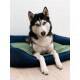 Otto Orthopädisches Hundebett Dunkelblau S-XL grün L