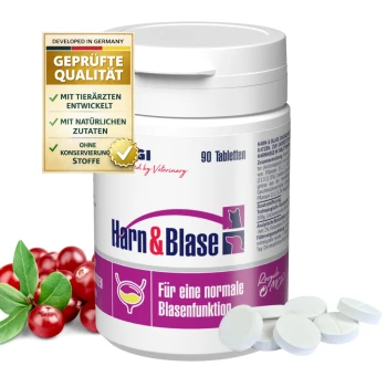 Weißer Behälter mit "Harn & Blase"-Tabletten für Katzen, 90 Stück, mit Cranberries und Blättern, die die normale Blasenfunktion fördern.