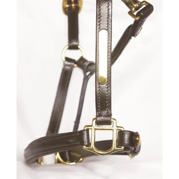 Braunes Leder-Haustiergeschirr mit goldenen Metall-Schnallen und Ringen, vor einem weißen Hintergrund präsentiert.