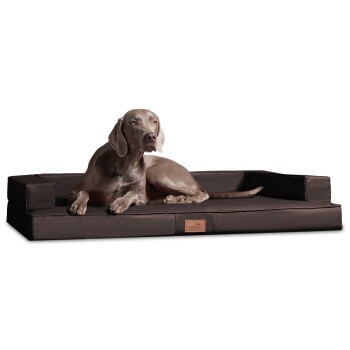 ® Orthopädisches Design Hundesofa GIBSON VISCO Kunstleder kubische Form braun 1,5 m, 22 cm, 1 m