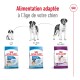 Image de sacs de nourriture pour chiens Royal Canin : 'Puppy' (2-8 mois), 'Junior' (8-18/24 mois), 'XL Giant Adult' (après 18/24 mois).