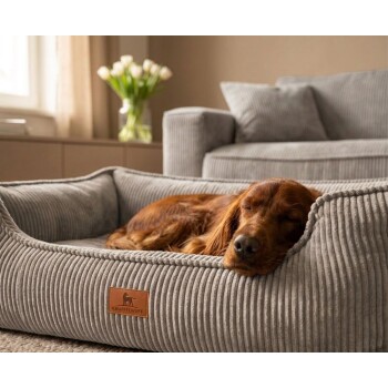 Brauner Hund schläft in einem grauen Cordstoff-Hundebett mit Lederpatch mit der Aufschrift 'KNUFFELWUFF' im Wohnzimmer.