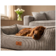 Brauner Hund schläft in einem grauen Cordstoff-Hundebett mit Lederpatch mit der Aufschrift 'KNUFFELWUFF' im Wohnzimmer.
