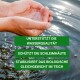 Hände, die Wasser über einem Teich halten, mit grünem Text: "Unterstützt die Wasserqualität", "Schützt Membranen", "Stabilisiert das Teichgleichgewicht."