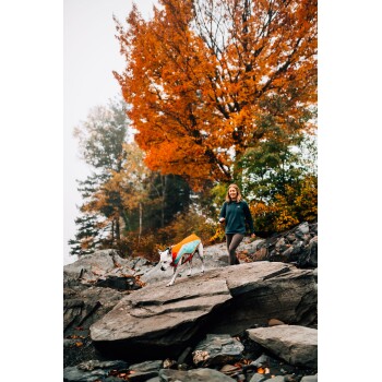 Eine Frau in einem grünen Pullover geht auf felsigem Terrain neben einem weißen Hund, der einen orangefarbenen und türkisfarbenen Mantel trägt, umgeben von herbstlichem Laub.