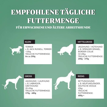 Infografik mit empfohlenen täglichen Futtermengen für erwachsene und ältere Arbeitshunde, kategorisiert nach Größe: kleine, mittlere, große und riesige Rassen.
