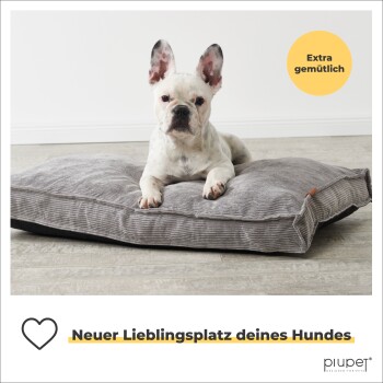 Ein französischer Bulldogge liegt auf einem plüschigen grauen Hundebett, mit dem Text "Neuer Lieblingsplatz deines Hundes" und einem gelben Kreis mit der Aufschrift "Extra gemütlich."