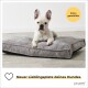 Ein französischer Bulldogge liegt auf einem plüschigen grauen Hundebett, mit dem Text "Neuer Lieblingsplatz deines Hundes" und einem gelben Kreis mit der Aufschrift "Extra gemütlich."