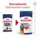 Porównanie opakowań karmy dla psów Royal Canin: po lewej "MAXI 8+" dla psów starszych, po prawej "L maxi Ageing" z wizerunkiem owczarka niemieckiego, obie 140g.