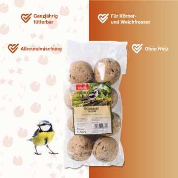 Eine runde, strukturierte Haustierfutterkugel aus verschiedenen Körnern und Samen, mit einer Mischung aus braunen und schwarzen Sprenkeln.