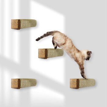 Siamkatze springt zwischen wandmontierten Holz- und Seil-Kratzpads in einem sonnenbeschienenen Raum.