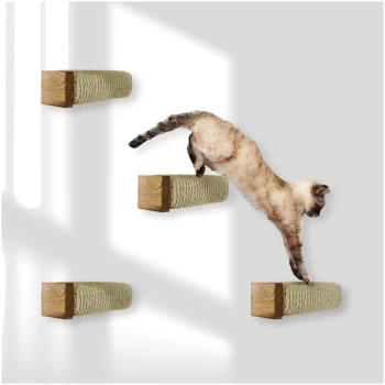 Siamkatze springt zwischen wandmontierten Holz- und Seil-Kratzpads in einem sonnenbeschienenen Raum.