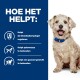 Een lichte hond met een blauwe halsband zit tegen een blauwe achtergrond met de tekst: "Hoe het helpt:" en drie voordelen vermeld.