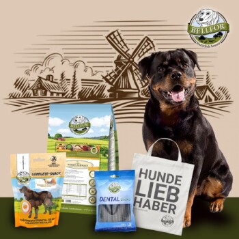Rottweiler Futter Set