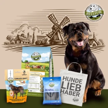 Ein glücklicher Rottweiler sitzt neben BELLEFOR Hundefutter, Snacks, Zahnsticks und einer Tragetasche mit der Aufschrift "HUNDE LIEB HABER."
