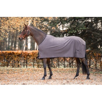 Ein braunes Pferd mit einer grauen Decke mit dem Logo "EQUINATE" steht in einer herbstlichen Umgebung mit orangefarbenen Blättern im Hintergrund.