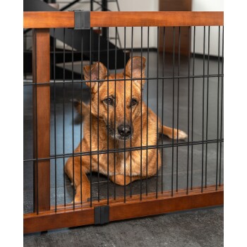 Ein brauner Hund liegt und schaut durch ein Holz- und Metallhaustiergitter in einem modernen Innenraum.