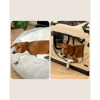 Ein gemütliches Hundebett links mit einem braunen Hund, der sich ausruht, und einer tragbaren Haustierbox rechts, aus der ein weiterer brauner Hund herausspäht.