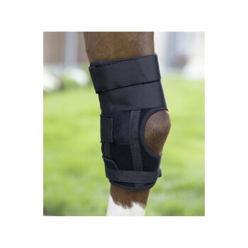 Schwarze Knieschiene, die um das Bein eines Pferdes gesichert ist, mit verstellbaren Riemen und einem gepolsterten Bereich für Komfort, vor einem grünen Hintergrund.