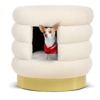 Ein kleiner Hund schaut aus einem gemütlichen, cremefarbenen Haustierbett mit abgerundeter Form und goldenem Fuß heraus.