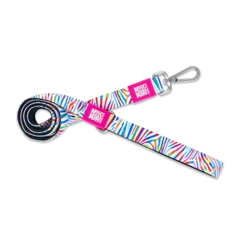 Bunt gestreifte Hundeleine mit pinken „Max & Molly“-Etiketten und silbernem Metallverschluss auf weißem Hintergrund.