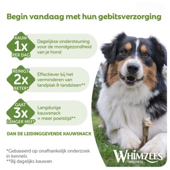 Hond kauwt op een kauwsnack naast Nederlandse tekst 'Begin vandaag met hun gebitsverzorging' en het Whimzees-logo