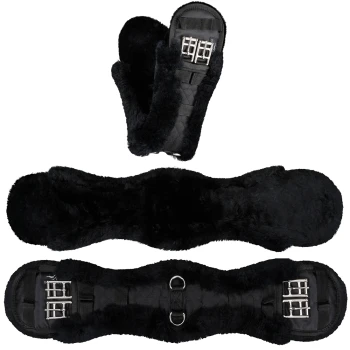 Schwarzer, fleecegefütterter Pferdegurt mit Metallbeschlägen, aus drei Blickwinkeln dargestellt.