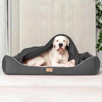 Ein großer weißer Hund, der bequem auf einem grauen Haustierbett ruht, teilweise mit einer Decke bedeckt, in einem modernen Innenraum.