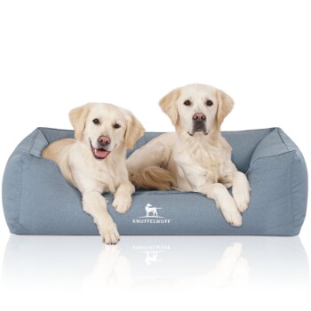 Zwei Golden-Retriever-Welpen, die zusammen auf einem weichen blauen Hundebett ruhen, mit dem Markennamen 'KNUFFELWUFF' deutlich sichtbar.